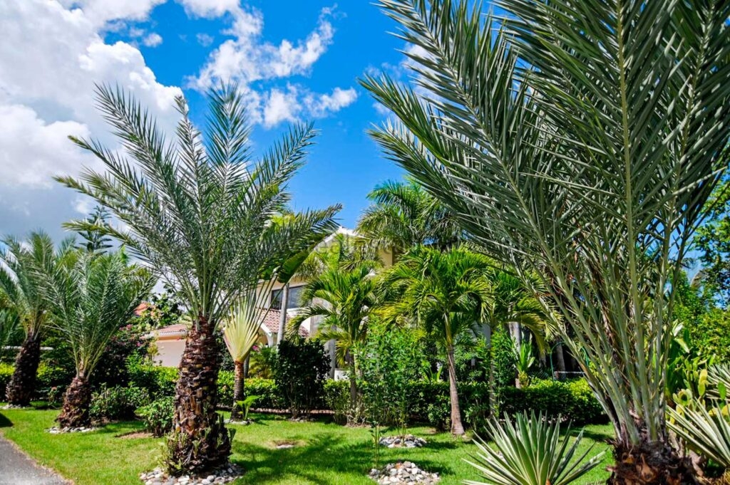 Вилла Cocotal las brisas 2